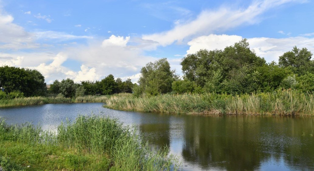 В пруды саратовского Заволжья осенью закачали более 20 миллионов кубов воды В пруды саратовского Заволжья осенью закачали более 20 миллионов кубов воды